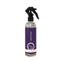 Solutie Optimizare Aplicare Protectie Ceramica Nanolex Optimizer, 200ml Solutie Optimizare Aplicare Protectie Ceramica Nanolex Optimizer, 200ml