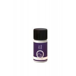Tratament Hidrofob Geamuri Nanolex Ultra Glass Sealant, 30ml Tratament Hidrofob Geamuri Nanolex Ultra Glass Sealant, 30ml